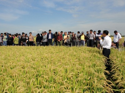 吉林省：做好“三品一标”事业，推进绿色农业发展