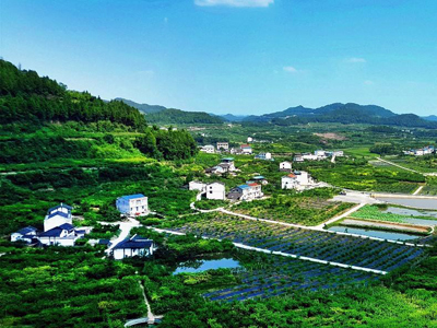 西充县：践行绿色发展理念，争当有机农业排头兵